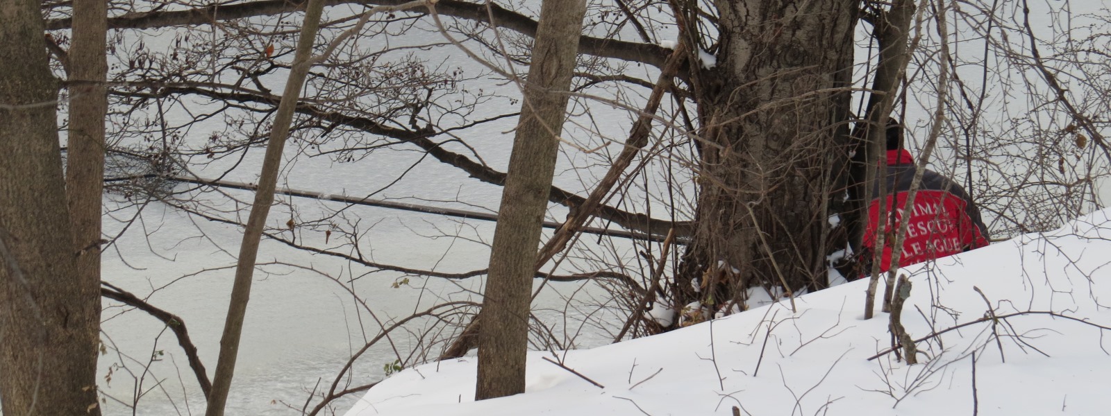 Loon Rescue